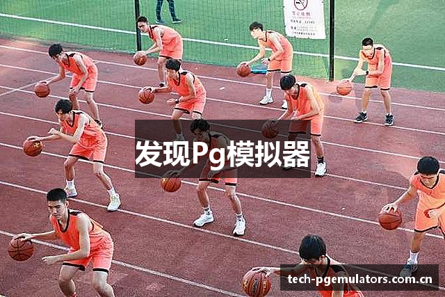 发现Pg模拟器